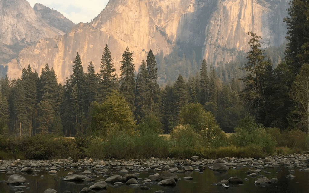 Bíblias para novos convertidos